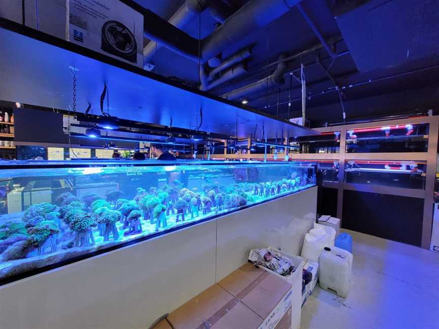 Reef Galleria Aquarium & Cafe, South Melbourne, VIC