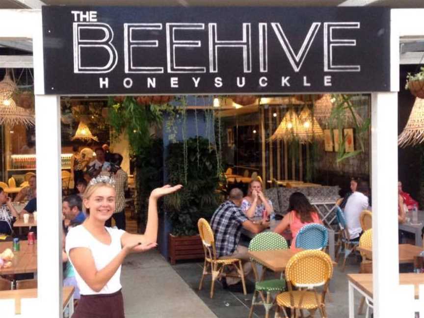 The Beehive Honeysuckle, Newcastle, NSW