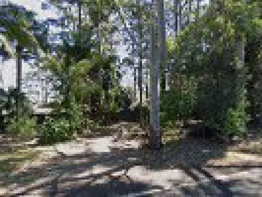 The Jazz Station, Tamborine Mountain, QLD