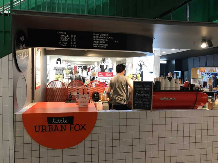 Urban Fox, Melbourne, VIC