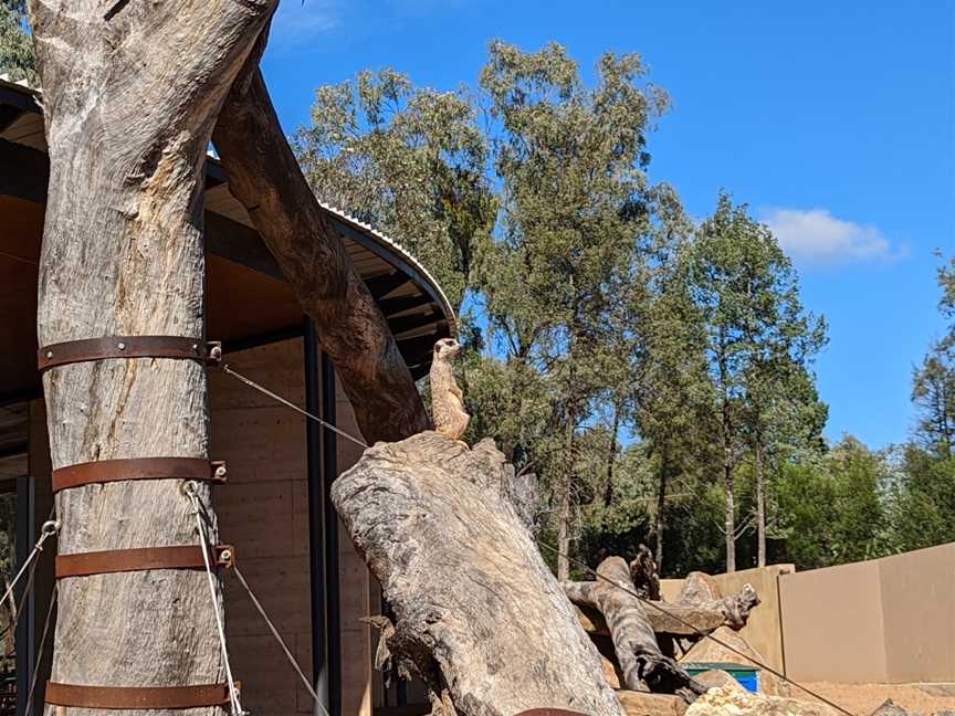 Waterhole Cafe, Dubbo, NSW