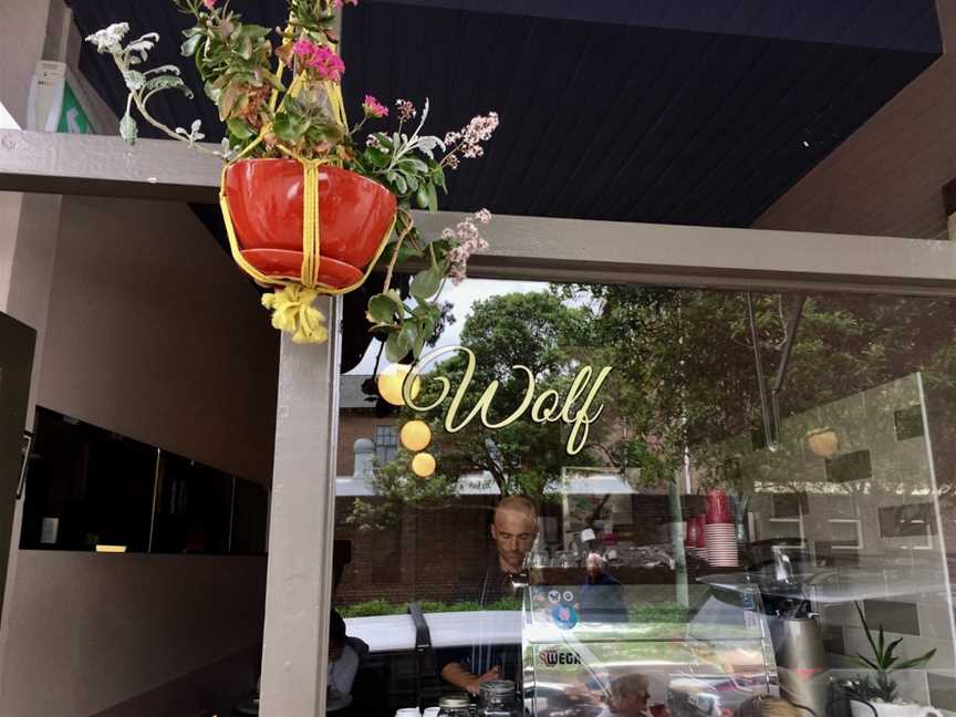 Wolf Cafe, Paddington, NSW
