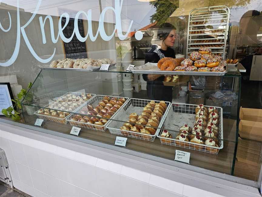 Knead - Artisan Donuts, Vogeltown, New Zealand