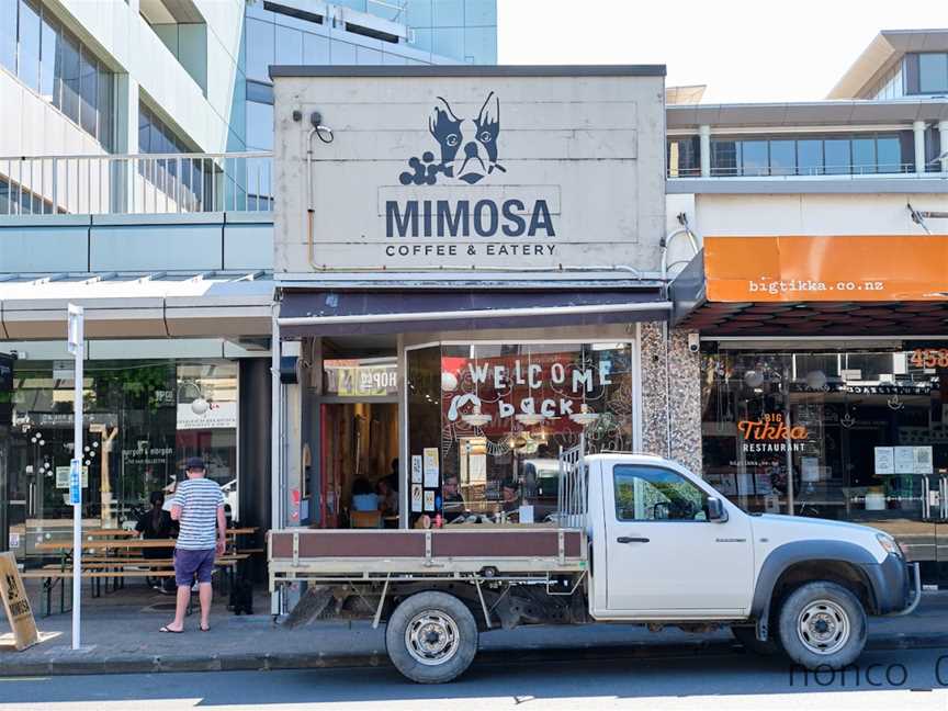 Mimosa, Takapuna, New Zealand
