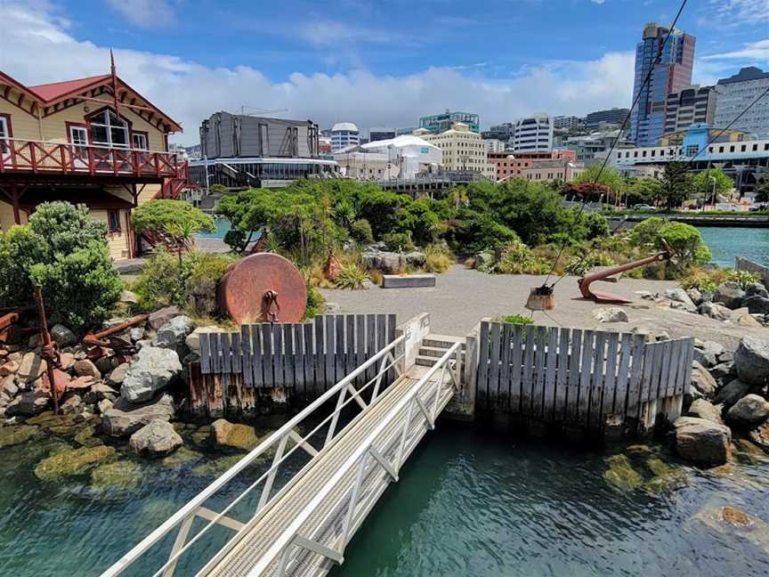 Tuatua, Wellington Central, New Zealand