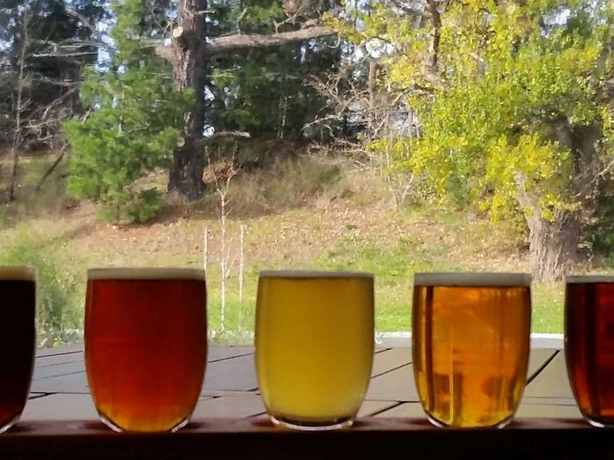 5 beers with a view