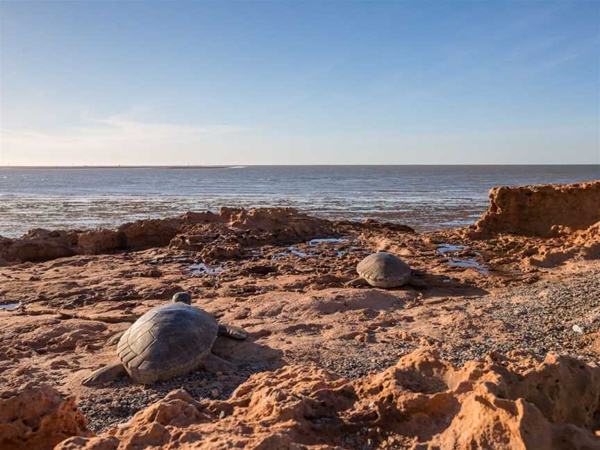 Cemetery Beach Park, Local Facilities in Port Hedland