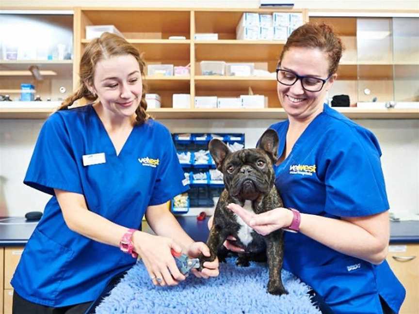 Vetwest Animal Hospitals - Wanneroo, Business Directory in Wanneroo