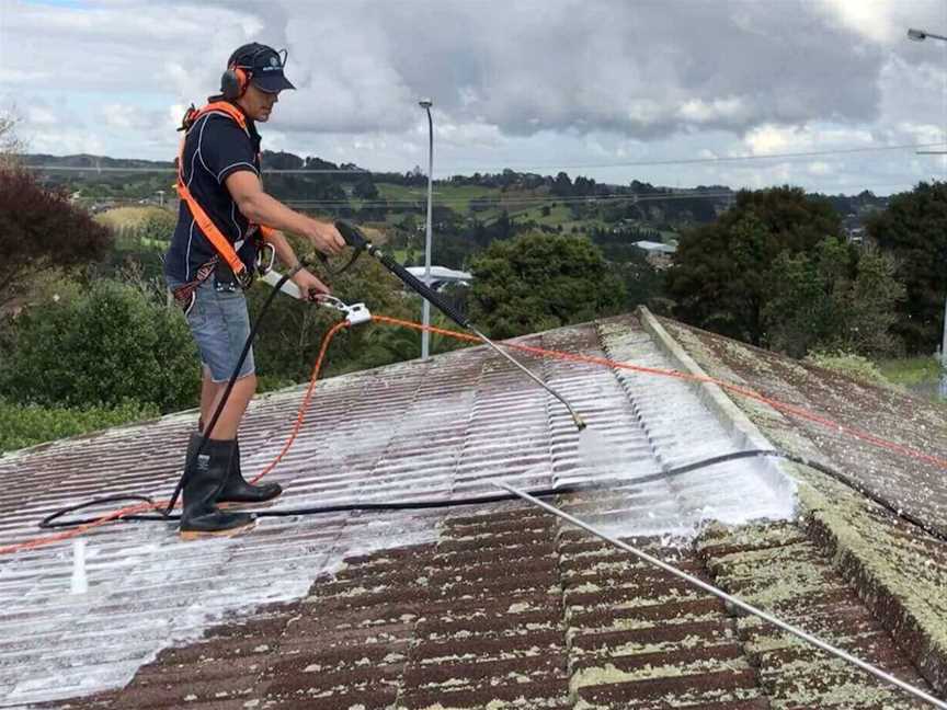 Roof washing