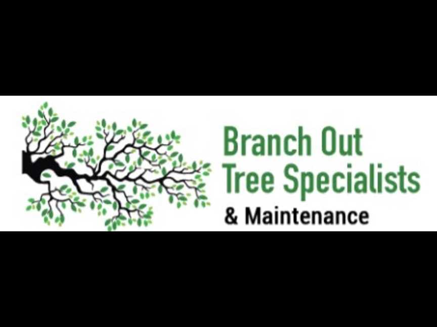 Branch Out Tree Specialist, Business directory in Kogarah