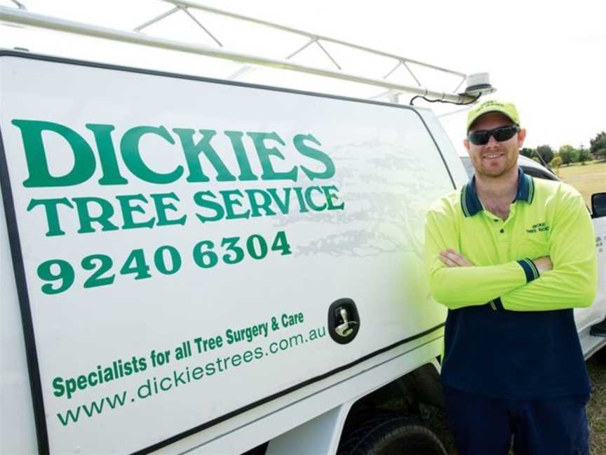 Dickies Tree Service, Business directory in Malaga