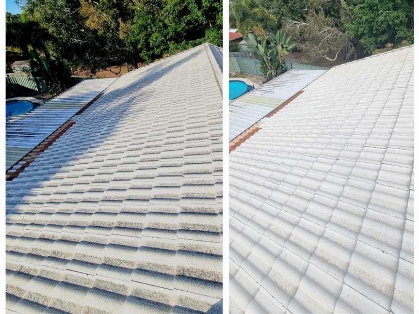 roof soft washing - before and after