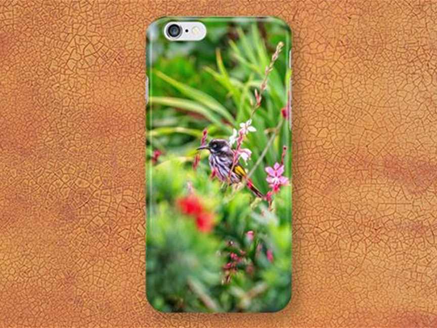 Honey Eater, Bushy Lakes iPhone Case