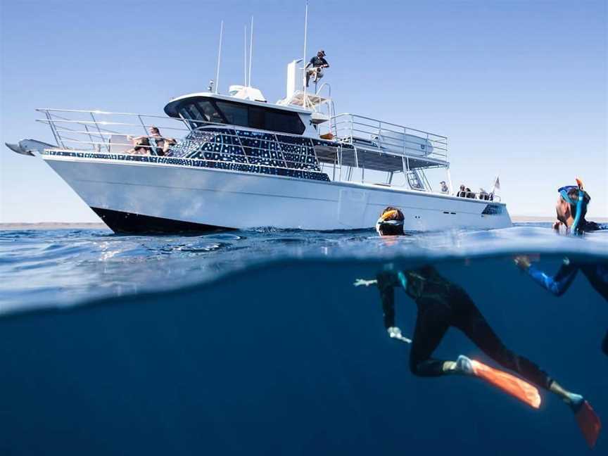 Ningaloo Discovery, Tours in Exmouth
