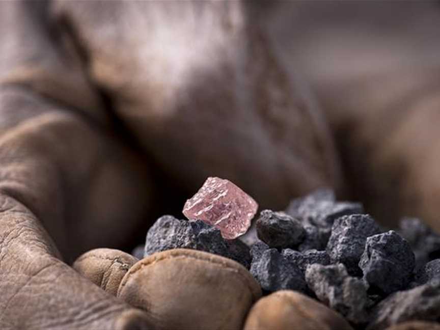 A rare pink diamond from Argyle Diamond Mine
