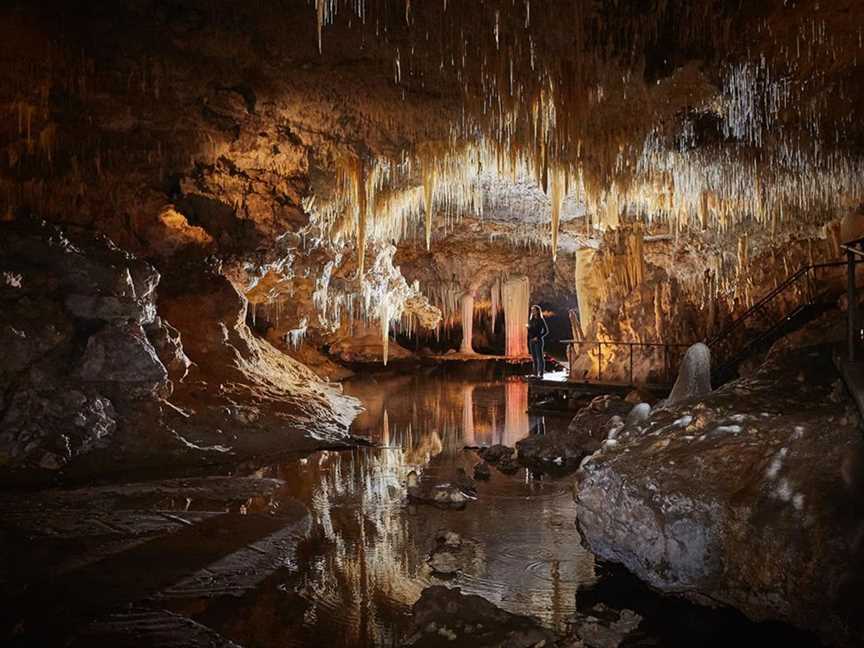Lake Cave, Tours in Forest Grove