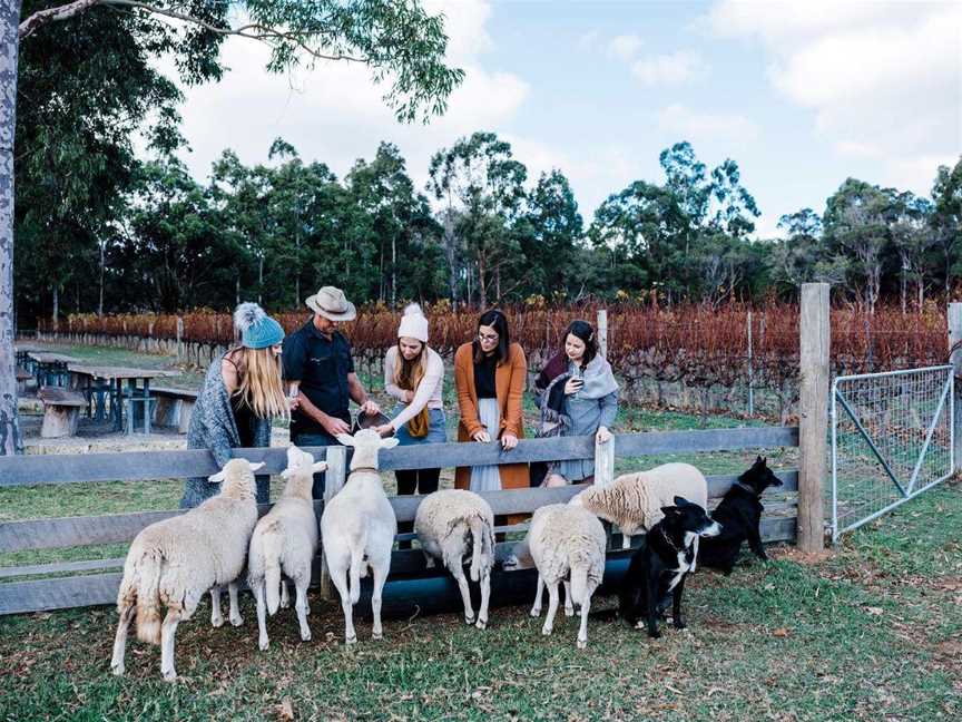 Glenarty Road Farm and Feast Tours