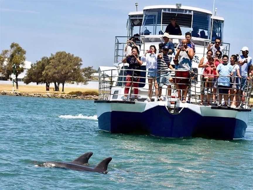 Mandurah Cruises- Dolphin and Scenic Marine Cruise, Tours in Mandurah
