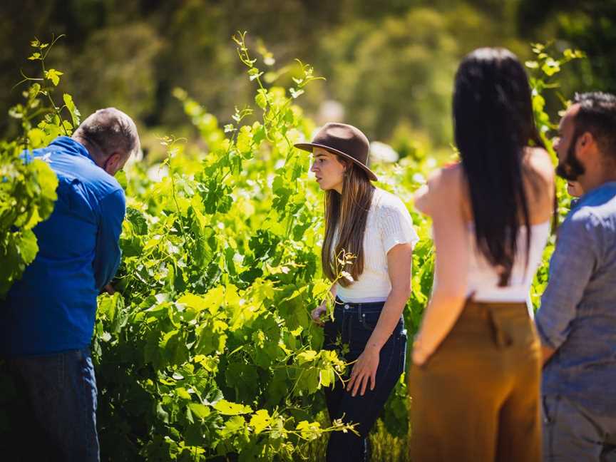 Up Close and Local Tours - Bickley Valley Wine, Gin and Cider Tours, Tours in Perth Hills, Carmel