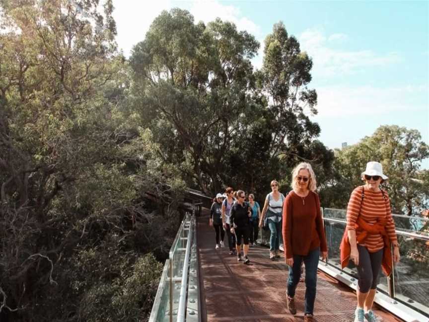 The Hike Collective, Tours in Perth CBD