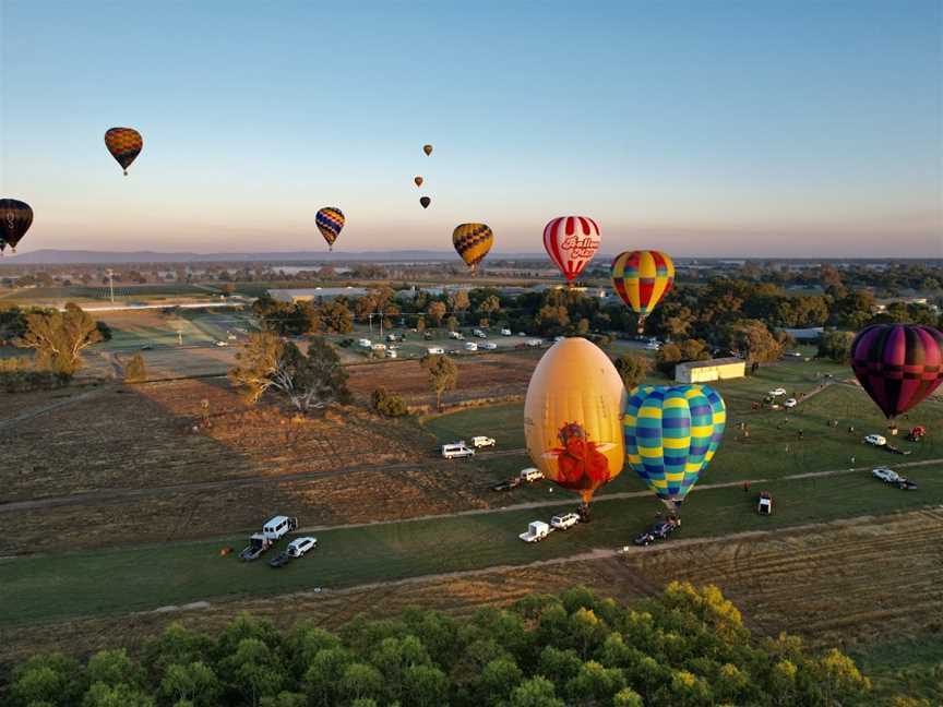 Brown Brothers Winery, Milawa, VIC