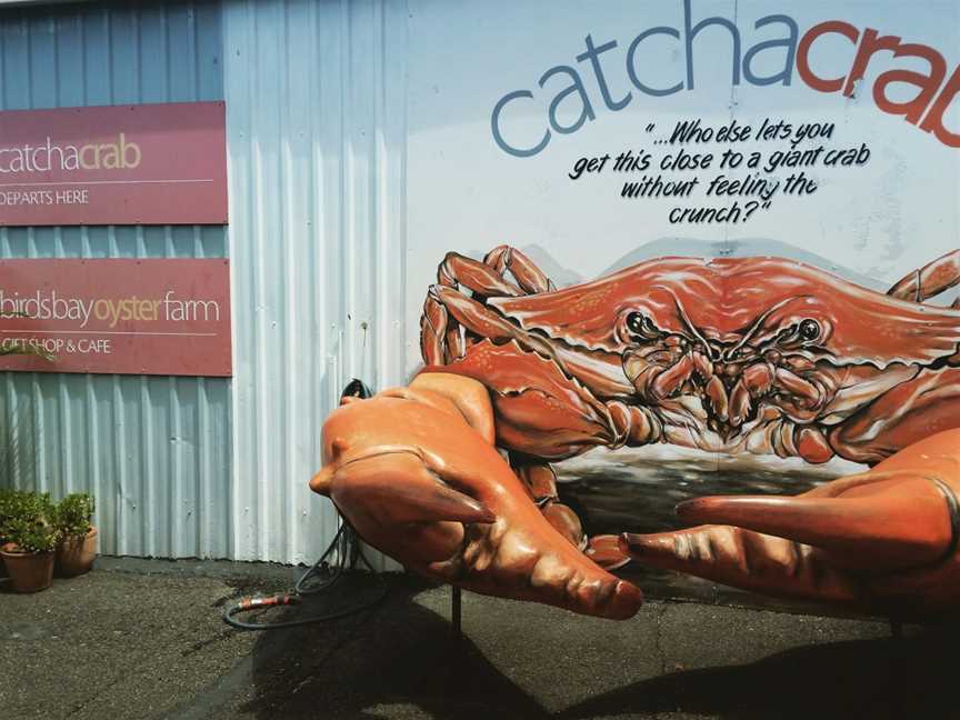 Catch a Crab, Tweed Heads West, NSW