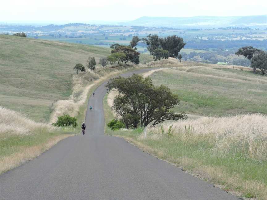 Bespoke Cycle Tours, Orange, NSW