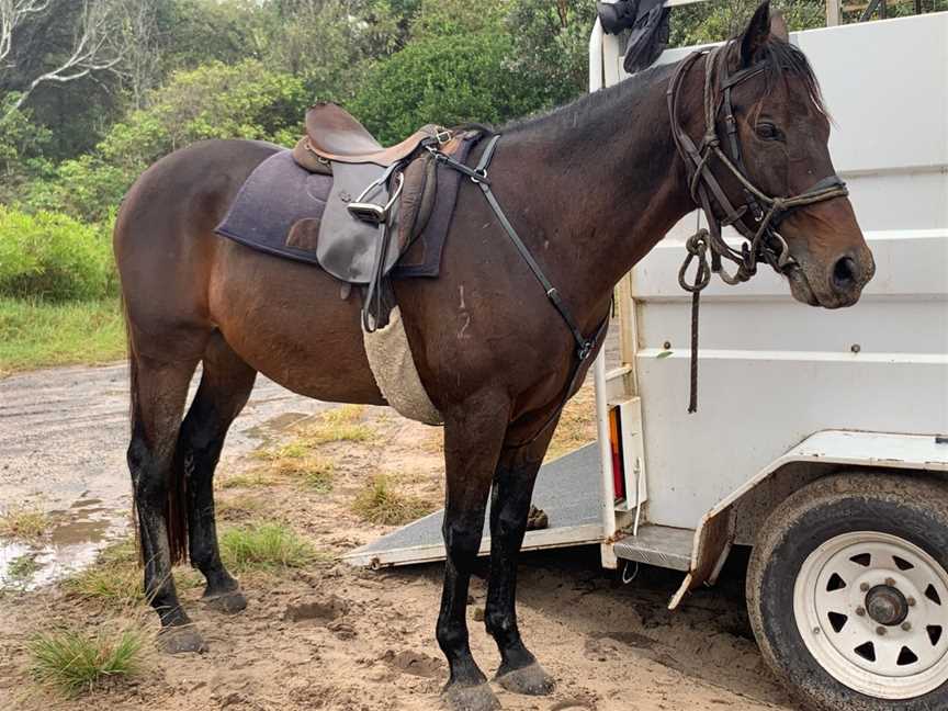 Equathon, Noosa North Shore, QLD