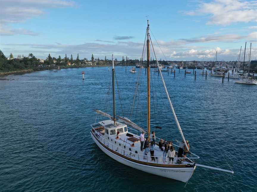 Saltwater Eco Tours, Mooloolaba, QLD