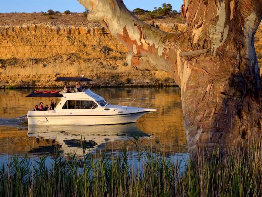 Rivergum Boat Cruises, Waikerie, SA