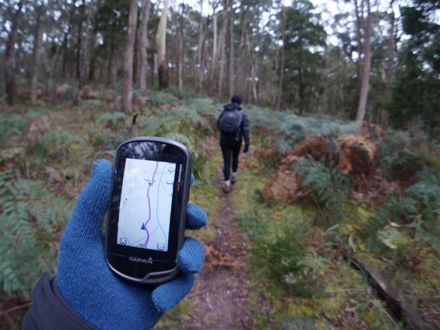 Secret Forest Walks, Daylesford, VIC