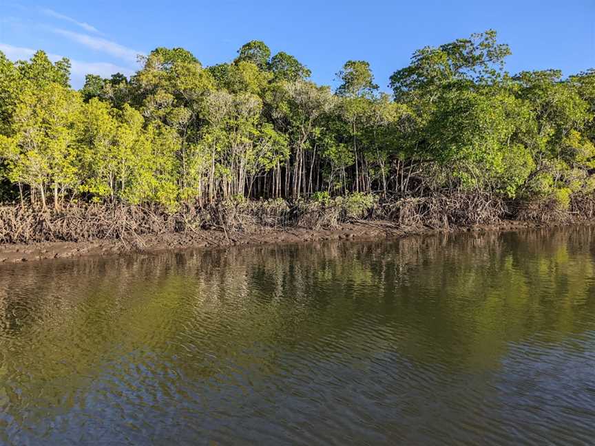 Lady Douglas River Cruise, Port Douglas, QLD