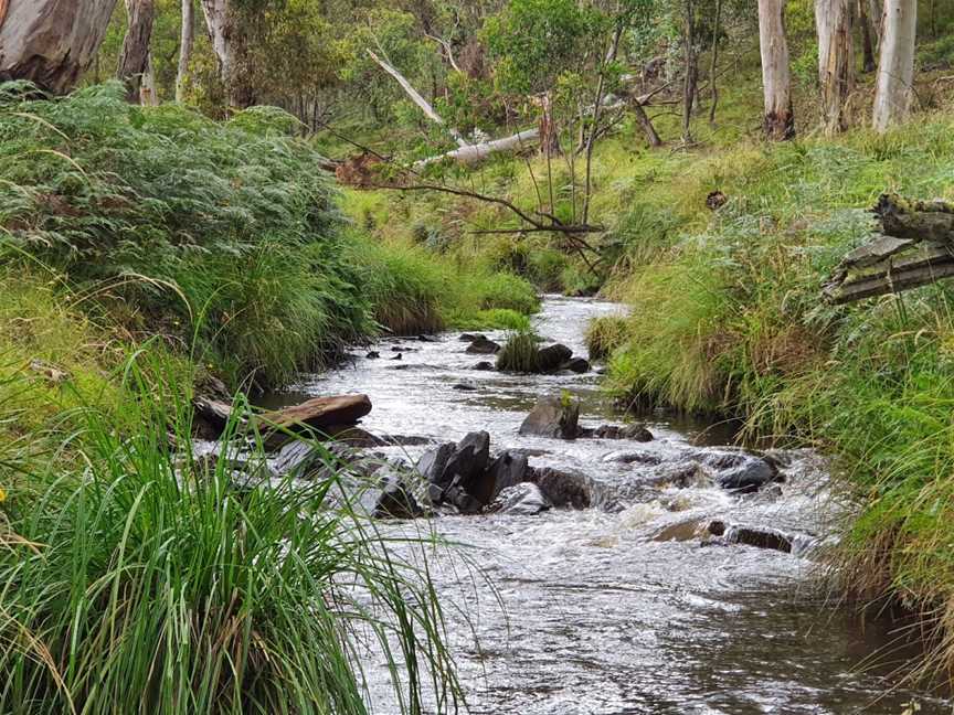 Detour Adventures - Tours, Bathurst, NSW