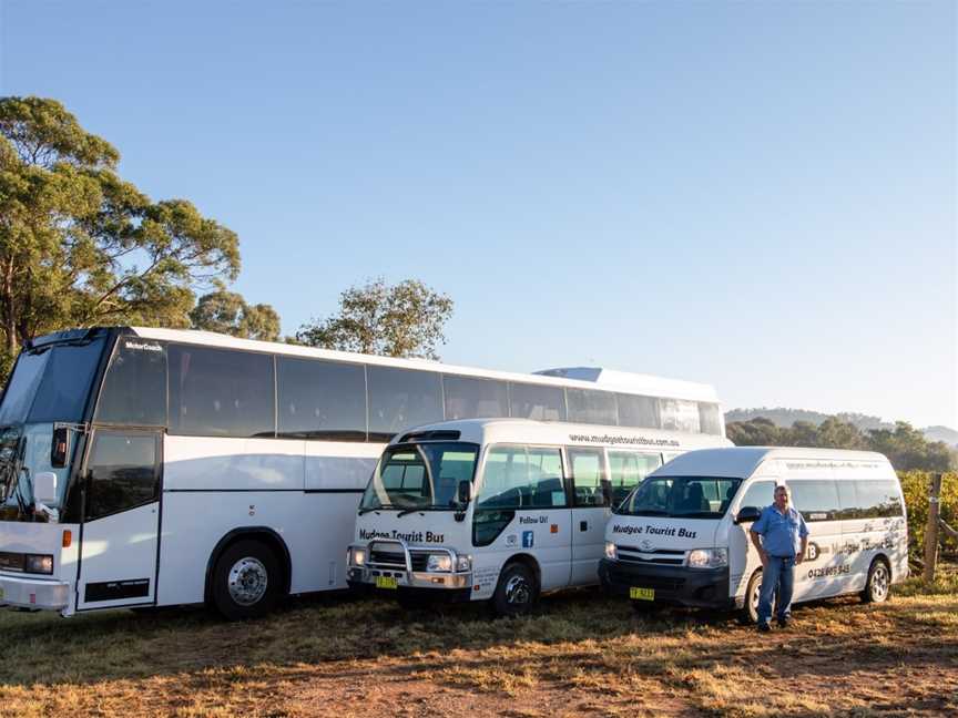 Mudgee Tourist Bus, Mudgee, NSW