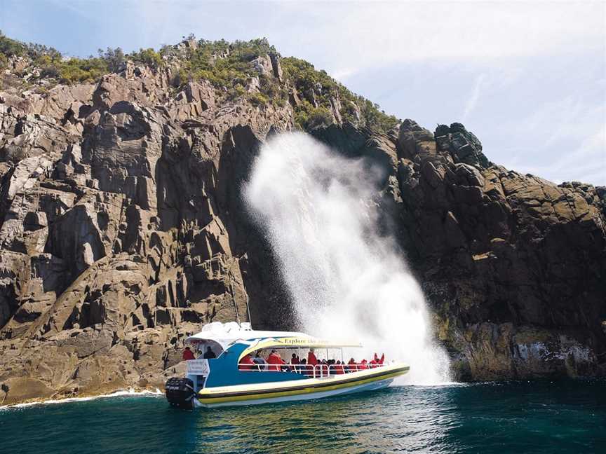 Bruny Island Cruises, Tours in Hobart