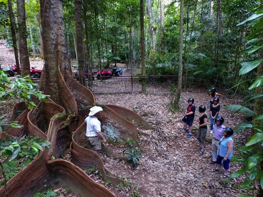 Kuranda Rainforest Journeys ATV Tours, Cairns City, QLD
