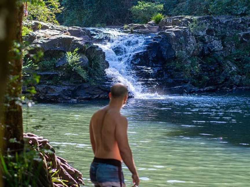 The Sunshine Coast Tour Company, Noosa Heads, QLD