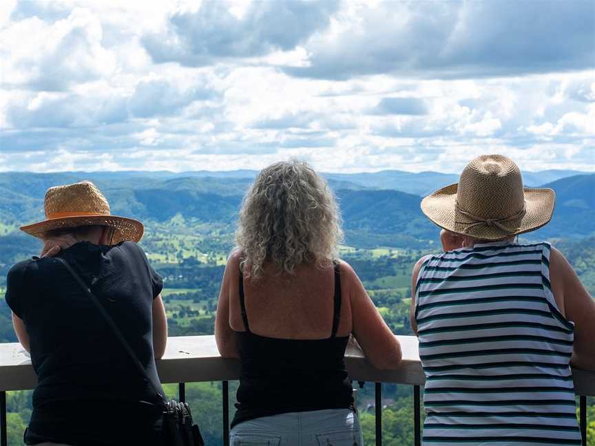 The Sunshine Coast Tour Company, Noosa Heads, QLD