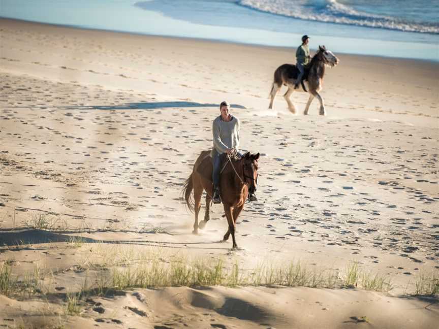 Zephyr Horses, Byron Bay, NSW