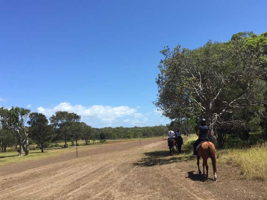 Zephyr Horses, Byron Bay, NSW