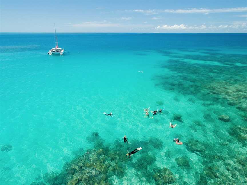Reef Daytripper, Cairns City, QLD