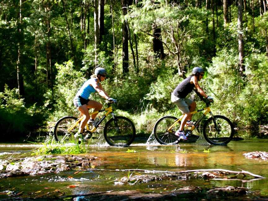 Mountain Bike Day Tours, Byron Bay, NSW