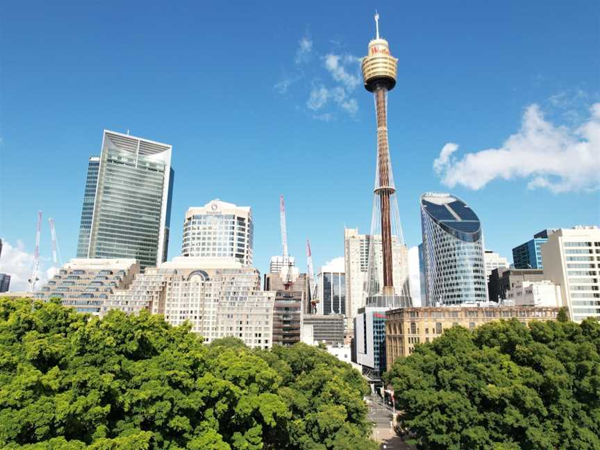 Locl Tour Sydney Sightseeing Bus & Free Walking Tours, Sydney, NSW