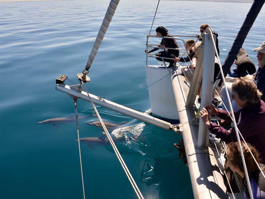 Temptation Sailing, Glenelg, SA