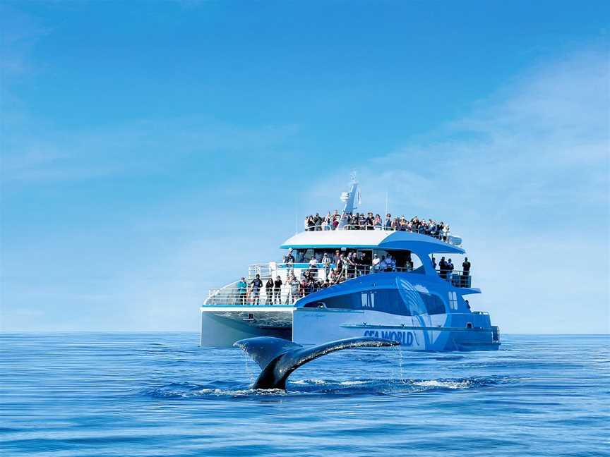 Sea World Cruises, Surfers Paradise, QLD