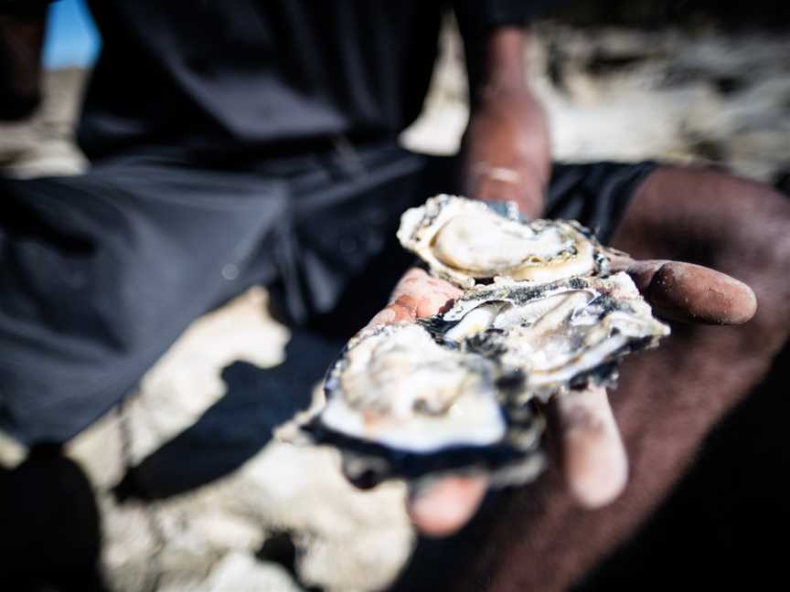 Cygnet Bay Pearl Farm Tours, Tours in Dampier Peninsula