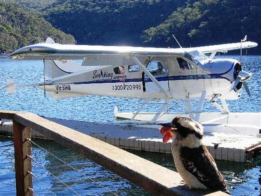 Sydney By Seaplane - Private Tours, Rose Bay, NSW