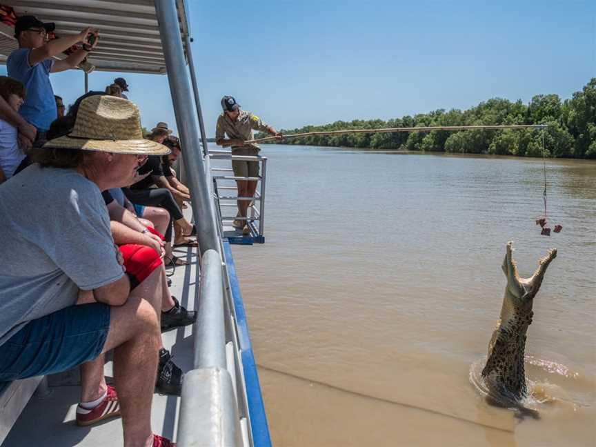 Spectacular Jumping Crocodile Cruise, Darwin, NT