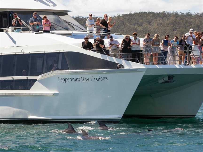 Peppermint Bay Day Cruises, Hobart, TAS