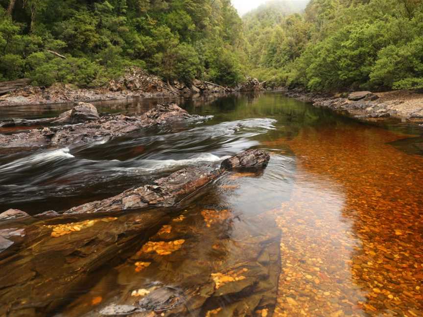 Franklin River Rafting, Hobart, TAS